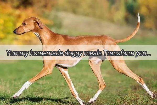 Yummy homemade doggy meals Transform your furry friends diet with these delectable recipes